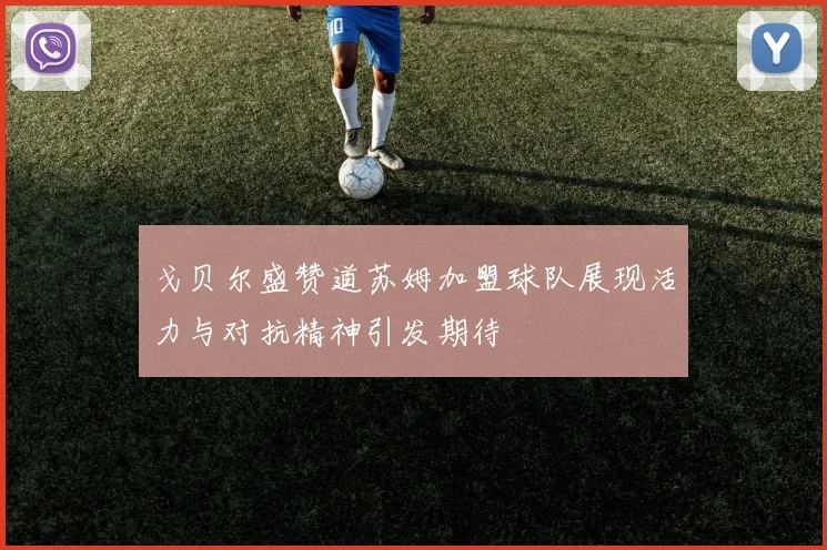戈贝尔盛赞道苏姆加盟球队展现活力与对抗精神引发期待
